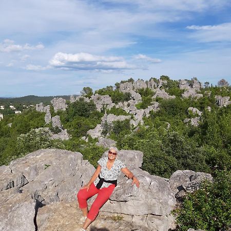 Bed and Breakfast Logis Des Magnans -Les Terrasses Du Coutach - Sauve Esterno foto